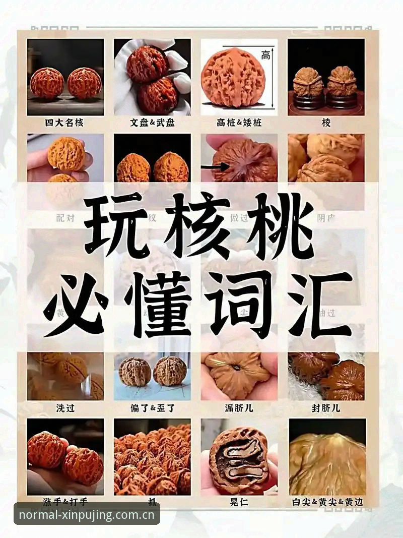 新浦京13677赛事数据 3个硬核功能,老球迷都在用的新浦京13677赛事数据新玩法
