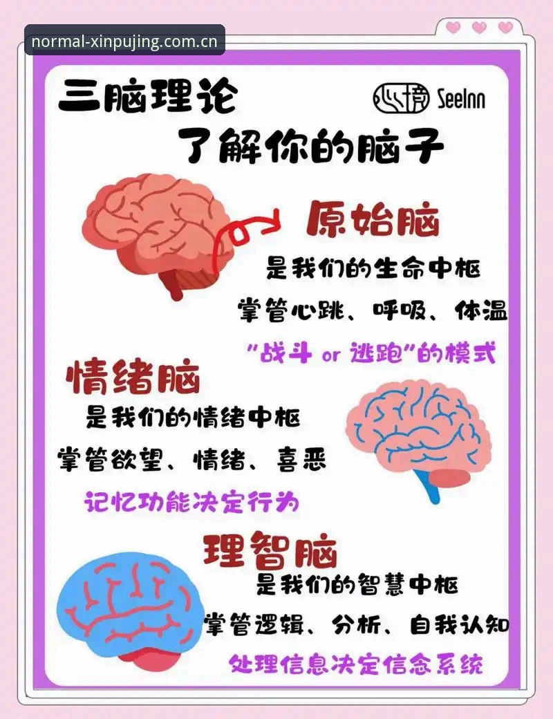 新浦京13677赛事数据 3个硬核功能,老球迷都在用的新浦京13677赛事数据新玩法